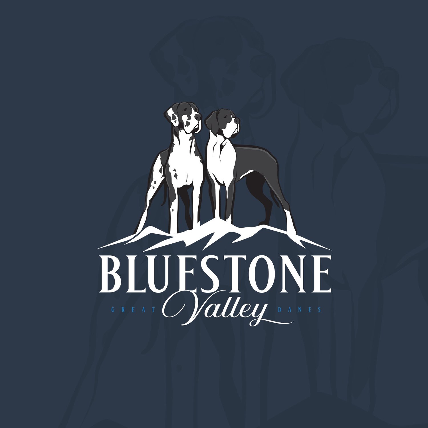 Bluestone Valley Great Danes 【金刚官网-沙巴体育】